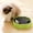 Green, variant on Pet Cat Toy Mouse Rotating Disc, Interactive Kitty Toy with Mouse, Electric Cat Toy for Indoor Play and Exercise