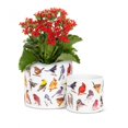 thumbnail image 3 of North American Birds Planter, 3 of 3