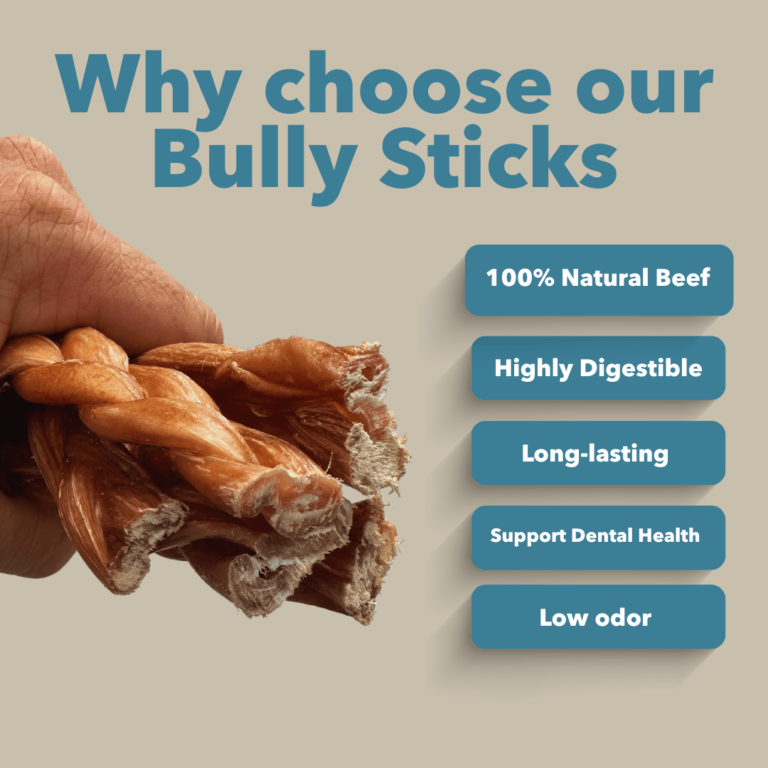 6" Braided Thin Bully Sticks