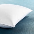 thumbnail image 2 of DOWNLITE Hotel & Resort 50-50 Down & Feather Blend Pillow, 2 of 5