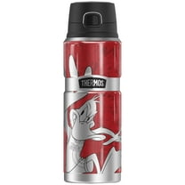 Space Jam: A New Legacy Metallic Daffy THERMOS STAINLESS KING Stainless Steel Drink Bottle, Vacuum insulated & Double Wall, 24oz