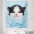 thumbnail image 1 of Cartoon Tapestry, Portrait of Domestic Kitten Bicolor Furry Head Pink Wet Nose Art, Fabric Wall Hanging Decor for Bedroom Living Room Dorm, 5 Sizes, Black White Blue, by Ambesonne, 1 of 1
