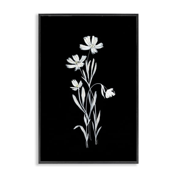 Stupell Industries Transitional Black Framed Giclee Art, 12 x 18, by Leeza Hernandez