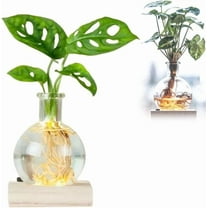 LED Lighted Hydroponic Glass Vase, Round er with Waterproof Wooden Base, Desktop Terrarium for Herbs Succulents, Home Office Decor, Soft LED Enhances Beauty Day Night, White, 1pc