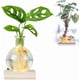 thumbnail image 1 of Jarrón, florero hidropónico LED, terrario hidropónico de escritorio para plantas, maceta redonda de vidrio con base de madera iluminada e impermeable., 1 of 8