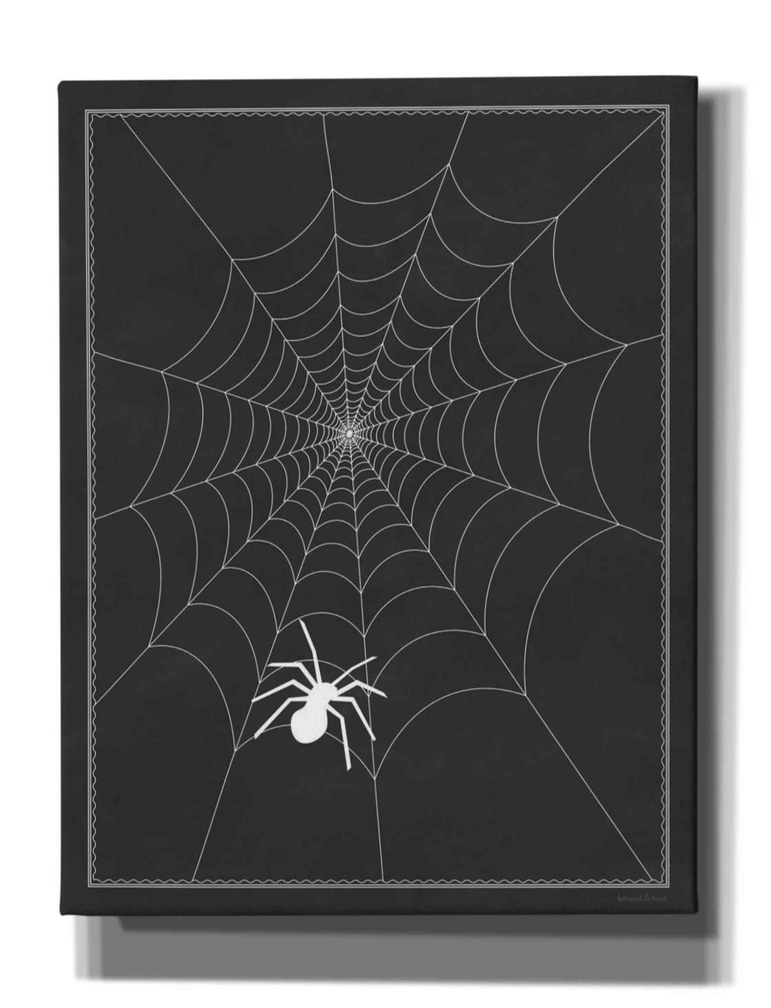 Epic Graffiti 'Spider Web II' by Lettered  Lined, Giclee Canvas Wall Art,  26