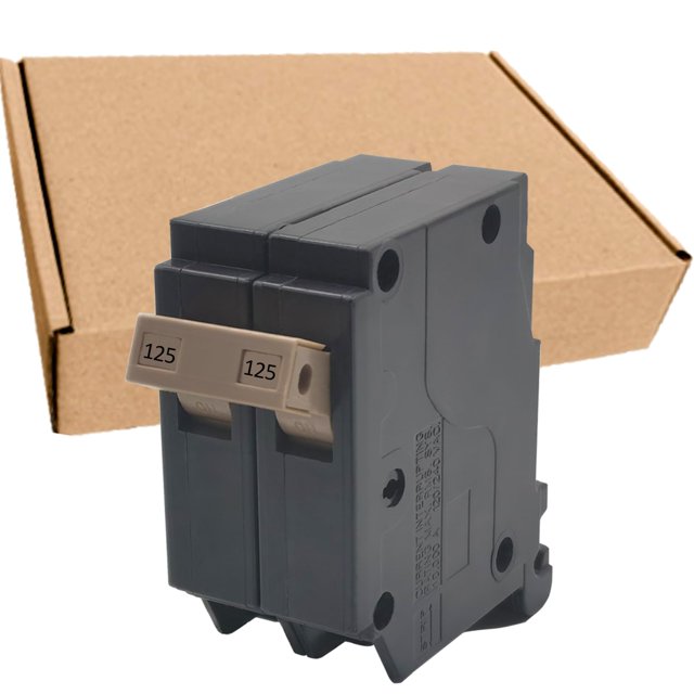 Disyuntor Fxsmgdy, 125 amperios, 2 polos, enchufe 120/240 V