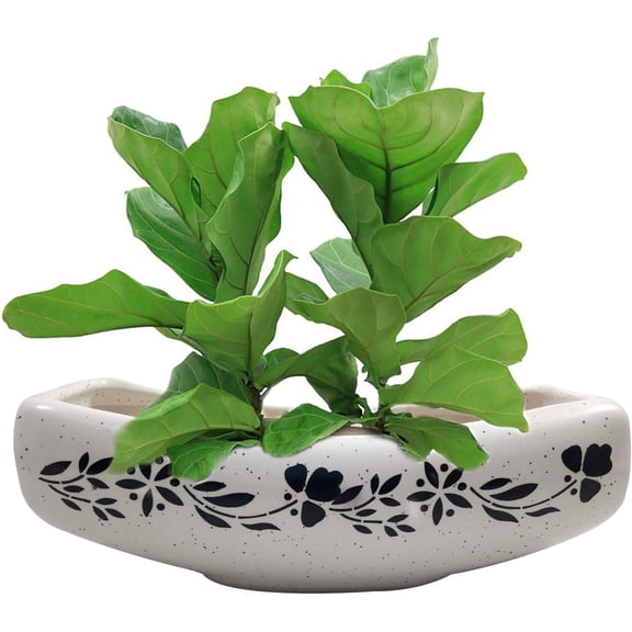 India Meets India Handicraft Ceramic Flower Pots Ceramic Planter Plant Pots Indoor Outdoor Planter, Best Gifting, Made by Awarded Indian Artisans