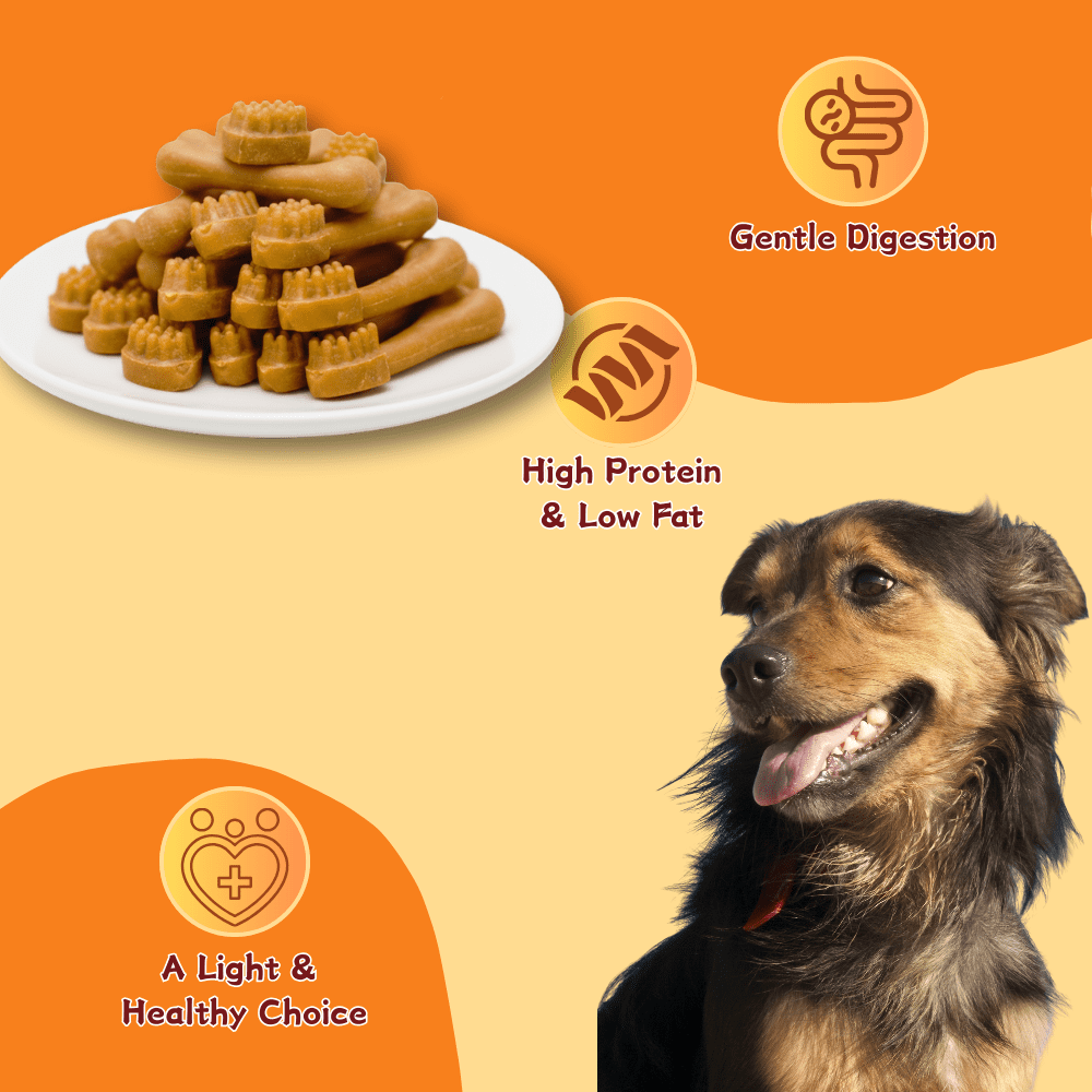 TenderTouch Chicken Flavor Toothbrush Dog Treats, Daily Dental Care Chews,2.56 Pound