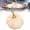 Beige*2PC,3.1 Inch, variant on Mini Pumpkins,Small Plastic Pumpkin for Decorating,Reusable Artificial Pumpkin Decor,Lightweight Faux Fall Harvest Pumpkin,Mini Plastic Table Pumpkin Ornaments for Thanksgiving,Porch,Garden