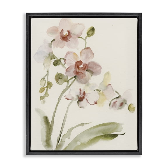 Stupell Industries Traditional Gentle Pink Orchid in Bloom Black Floating Frame Canvas Art, 17 x 21, by Victoria Barnes