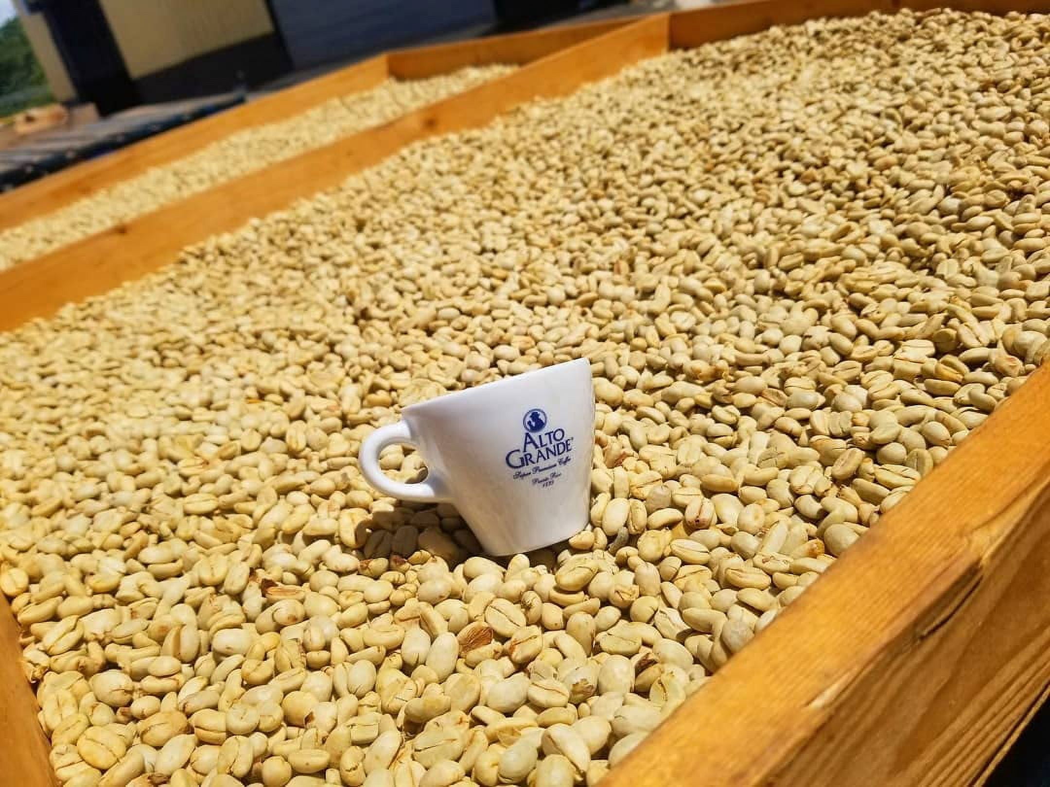 Alto Grande Medium-Dark Roast and Yaucono Medium Roast, Whole Bean Coffee, two bags of each, 2 Pound (Pack of 4)