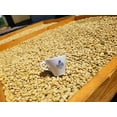 thumbnail image 4 of Alto Grande Medium-Dark Roast and Yaucono Medium Roast, Whole Bean Coffee, two bags of each, 2 Pound (Pack of 4), 4 of 5