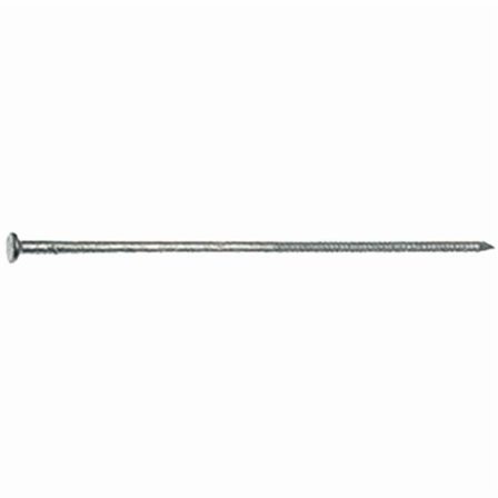 No. 50 60D Hot Galvanized Tempered Pole Barn Nail