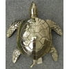 Large Solid Brass Sea Turtle Doorknocker