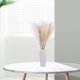 thumbnail image 4 of unbranded 6Ud Ramos Decorativos De Pampas Artificial Beige Para En Restaurantes, 4 of 7