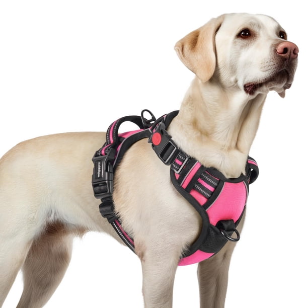Arnés para perros Rabbitgoo mejorado, sin tirones, para perros grandes, color rosa L