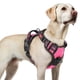 thumbnail image 1 of Arnés para perros Rabbitgoo mejorado, sin tirones, para perros grandes, color rosa L, 1 of 8