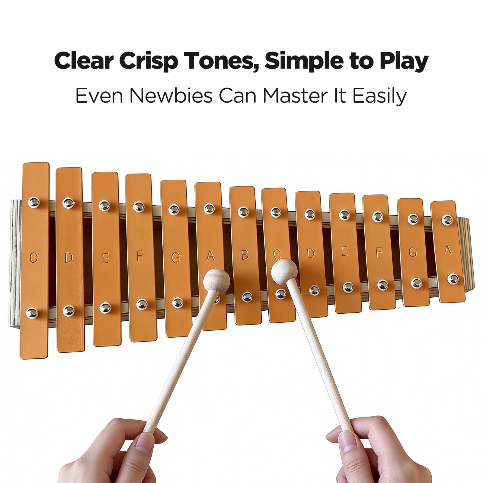 13 Note Xylophone with 2 Mallets, Glockenspiel with Metal Keys for Beginners, Handheld Percussion Instrument for Music Education & Rhythm Practice XP-01