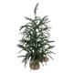 thumbnail image 5 of Mesa De PET Artificial De Mini árbol De Pino De Navidad Verde, 5 of 7