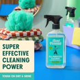 thumbnail image 2 of All Purpose Household Cleaner, Multi-surface Spray, Powered by Vinegar for Kitchen, Bath, Windows and Countertops, Eu Scent (Pack of 1), 2 of 4