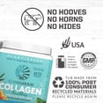 thumbnail image 3 of Sunwarrior Vegan Collagen Protein Powder, Unflavored, Biotin & Hyaluronic Acid, 20 Servings, 3 of 8