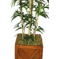 thumbnail image 3 of Vintage Home by Vintage Home Vintage Home 81-in Tall Natural Bamboo Tree in 13-in Fiberstone Planter 36L 36W 81H, 3 of 4