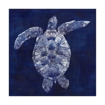 Trademark Fine Art 'Sea Turtle Shadow II' Canvas Art by Grace Popp