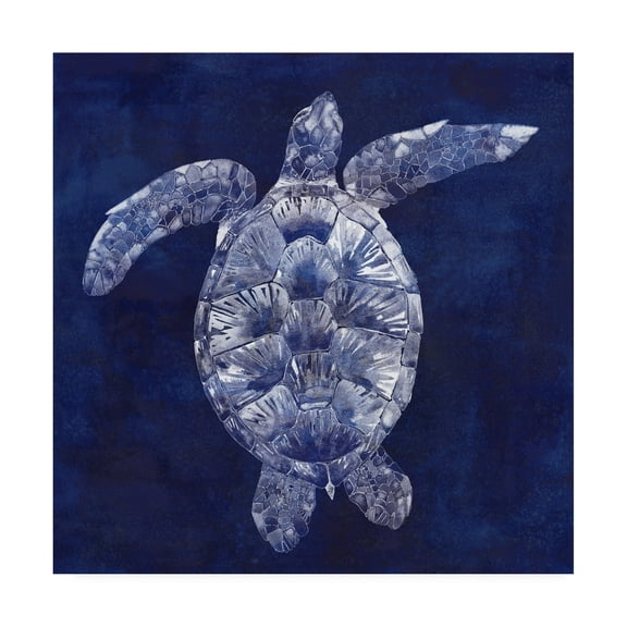 Trademark Fine Art 'Sea Turtle Shadow II' Canvas Art by Grace Popp