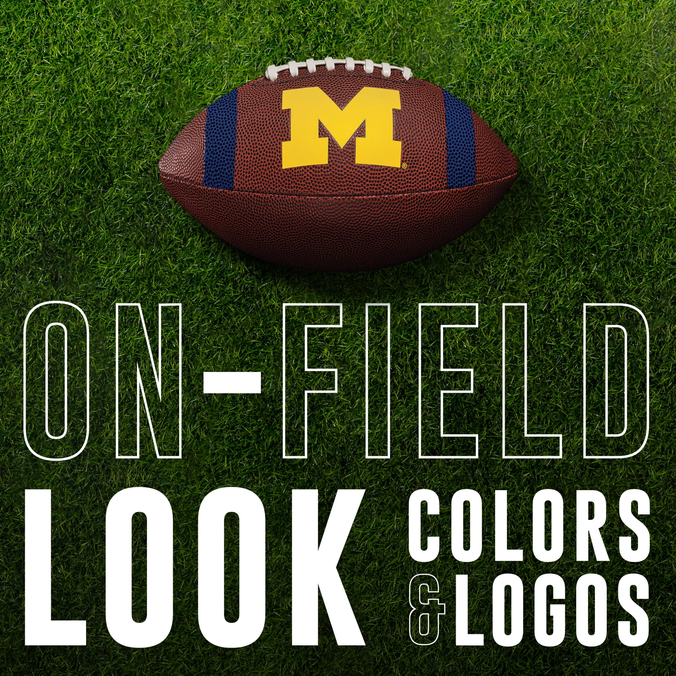 Franklin Sports Michigan Wolverines Kids NCAA Youth Football - Official College Team Junior Footballs with Team Logos for Kids - Kids Junior Size PVC Football - Backyard + Tailgate Ball - 8.5"