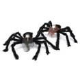 thumbnail image 3 of Prop Skeleton Head Spider Peluche De Juguete Para Mascarada Halloween Pascua Serendint HA043189-01, 3 of 6