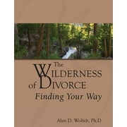 Transcending Divorce: The Wilderness of Divorce : Finding Your Way (Hardcover)