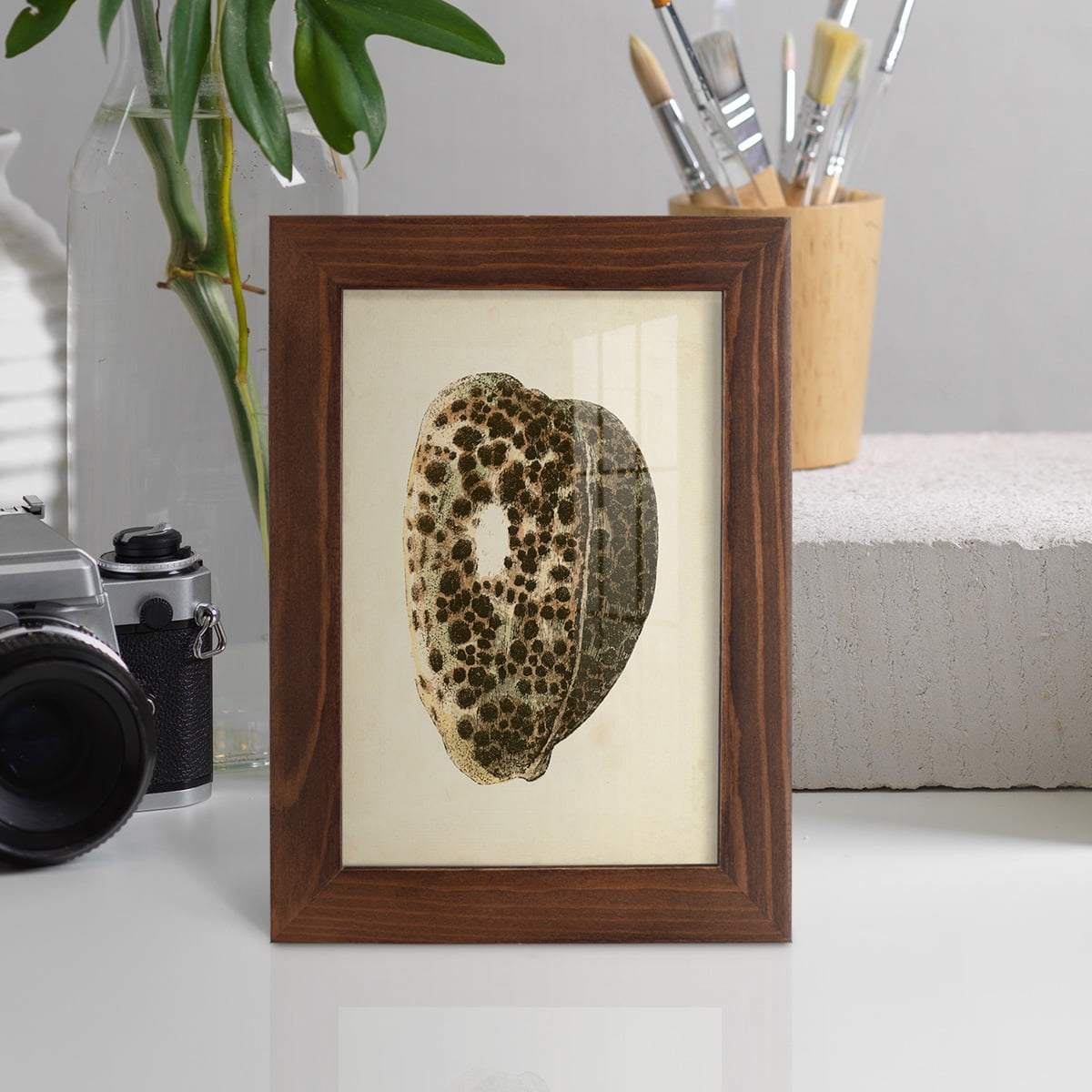 Sealife Collection III - Framed Print w/glass - Chestnut