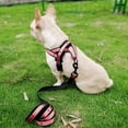 thumbnail image 4 of Cómodo arnés y correa para perros con diseño de estrellas para pasear a tu mascota (talla L) para razas grandes y medianas, 4 of 8