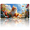 A Cat in a Flower Field, variant on 1 Pcs 2D Flat License Plate Covers & Frames, Two Kittens Sleeping For Decorative Front, Waterproof For Decoration Aluminum License Plate Covers & Frames Cover For Men Women, 12" X 6"