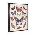 thumbnail image 4 of Stupell Industries Cottage Moths & Butterflies Animals & Insects Painting Black Floater Framed Art Print Wall Art, 25 x 31, 4 of 10