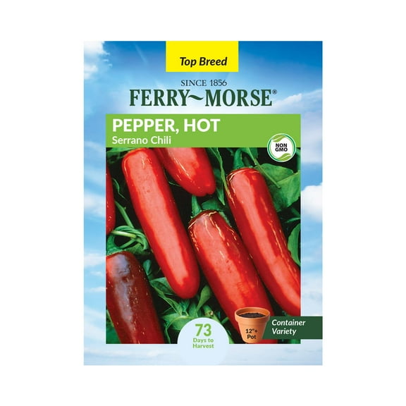 Ferry-Morse 250MG Pepper Serrano Annual Vegetable Seeds, Full Sun