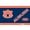 Campus, variant on Tervis Auburn Tigers 24oz. Emblem Classic Tumbler