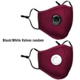 thumbnail image 4 of PM2.5 Dust Mask Anti-dust Anti-haze Windproof Mouth Nose Protection Reusable Sponge Face Mask with Filter Inserts, 4 of 8