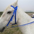 thumbnail image 2 of Horse Bridle Rein Harness Headstalls Removable Snaffle Nylon Webbing Blue M, 2 of 9