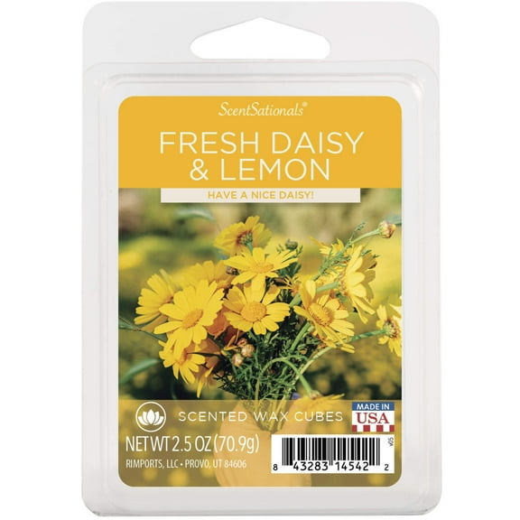 Fresh Daisy & Lemon Scented Wax Melts, ScentSationals, 2.5 oz (1-Pack)