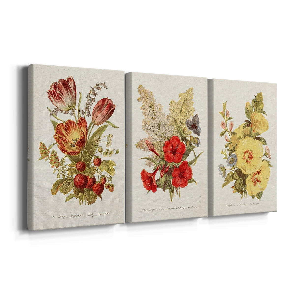 Antique Floral Bouquet IV Premium Gallery Wrapped Canvas - Ready to Hang - 24 x 36 Each