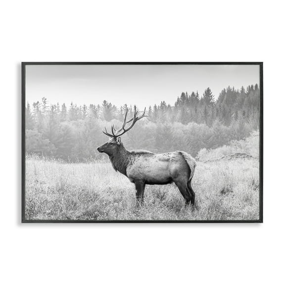 Stupell Industries Stoic American Elk Landscape & Nature Photography Black Framed Art Print Wall Art, 18 x 12