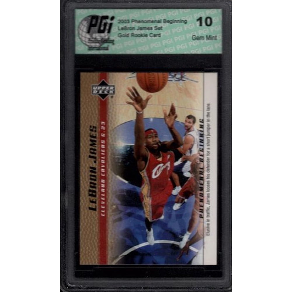 phenomenal beginnings lebron james