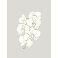 thumbnail image 2 of Urban Road 15x18 Black Modern Framed Museum Art Print Titled - Beige Lilies Poster, 2 of 4