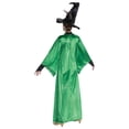 thumbnail image 2 of Disguise Womens Harry Potter Professor McGonagall Deluxe Costume - Size Small, 2 of 3