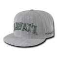 thumbnail image 1 of W Republic Game Day Fitted Hawaii, Heather Grey - Size 7.38, 1 of 1