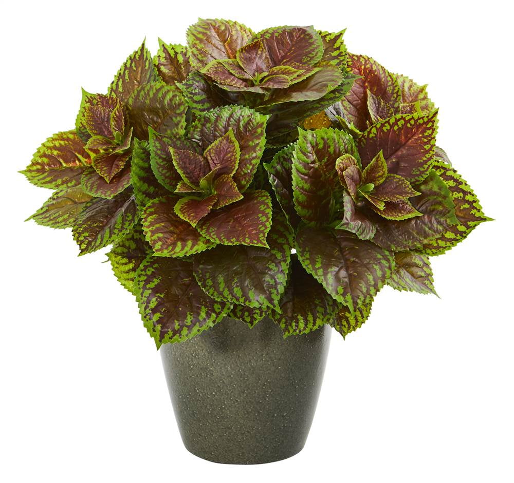 Nearly Natural 8768 Coleus Artificial Plant in Green Planter