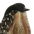 thumbnail image 2 of Benzara Feather Sitting Bird Accent Decor with Clips, Assortment of 3, Brown, 2 of 3