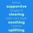 thumbnail image 4 of Plant Therapy Kids Quiet Cough Essential Oil Blend 30 mL (1 oz) 100% Pure, Undiluted, Natural Aromatherapy, 4 of 8
